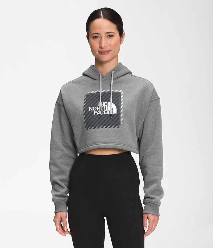 The North Face Hoodie Dames Coordinates Crop Drop Pullover NYSJ23719 - Grijs